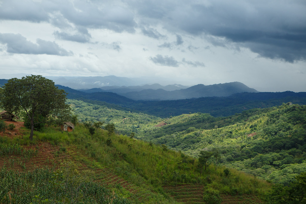 Mzuzu